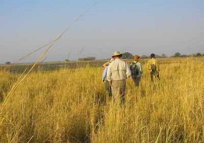 Walking Safari